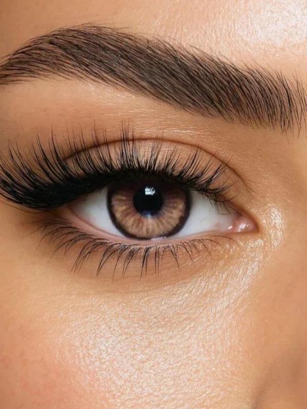Contact Lenses