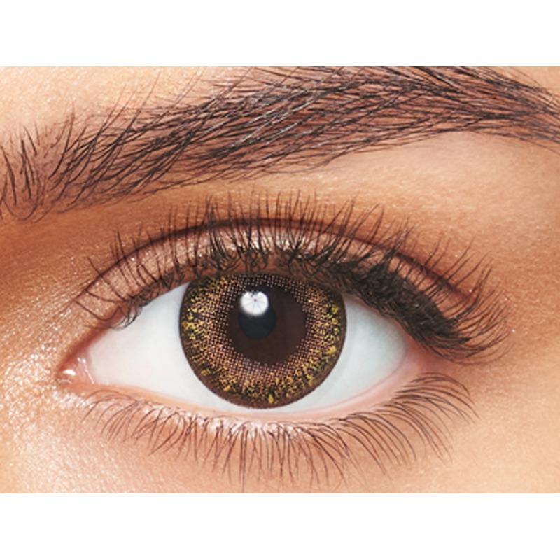 Freshlook Circle Plus Color Allure Hazel 10 pcs — alternate view